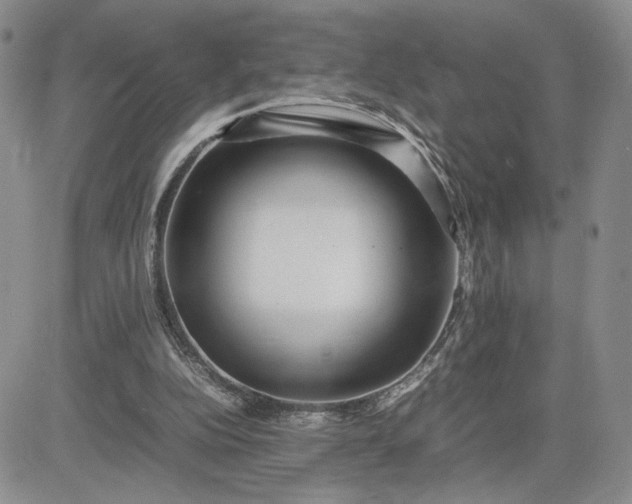 X0000083660152200702261150