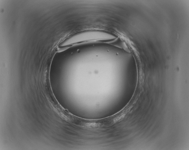 X0000083660153200702261150