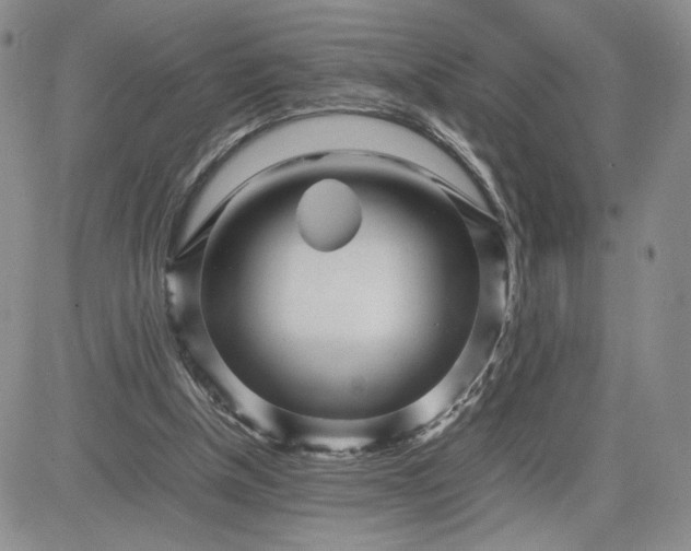 X0000083660154200702261150