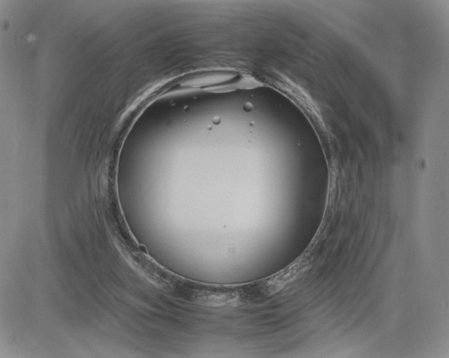 X0000083660155200702261150