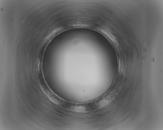 X0000083660157200702261150