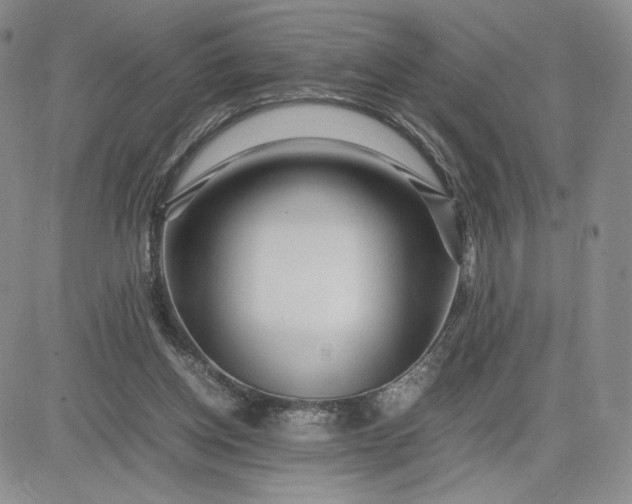 X0000083660158200702261150