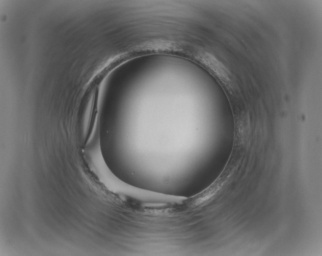 X0000083660160200702261150