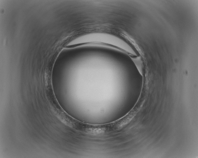 X0000083660161200702261150