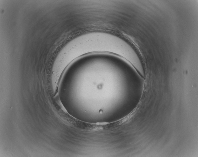 X0000083660162200702261150