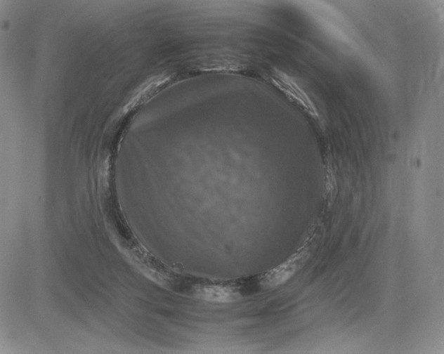 X0000083660163200702261150