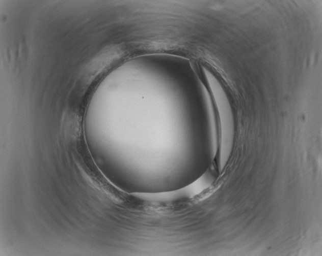 X0000083660164200702261151