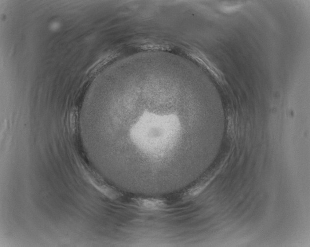 X0000083660165200702261151