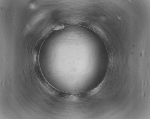 X0000083660166200702261151