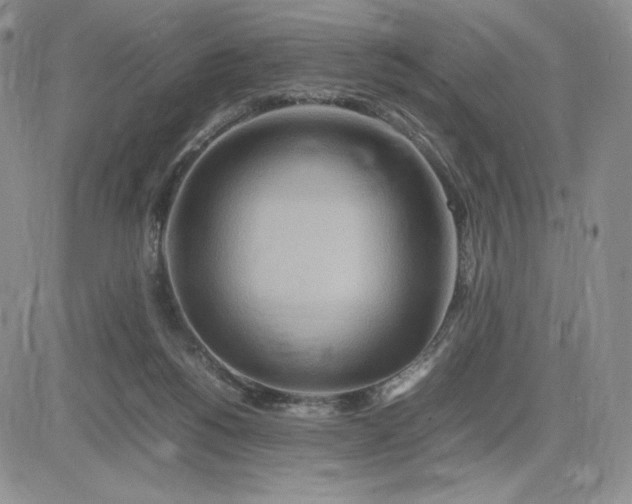 X0000083660168200702261151