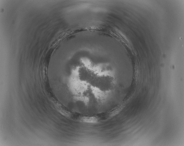 X0000083660169200702261151