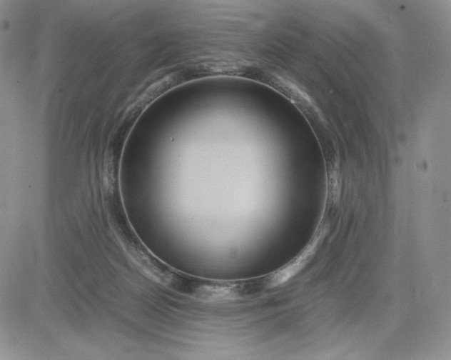 X0000083660170200702261151