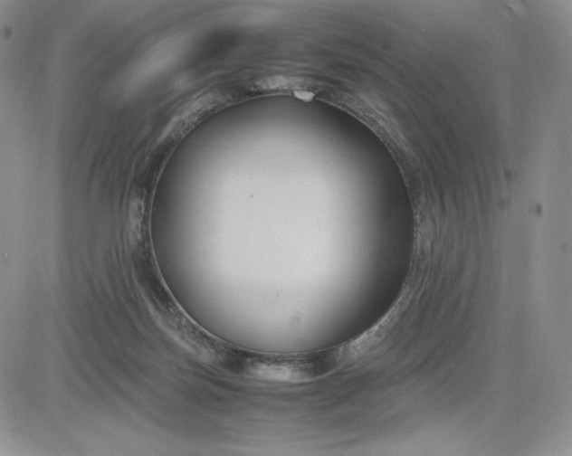 X0000083660171200702261151