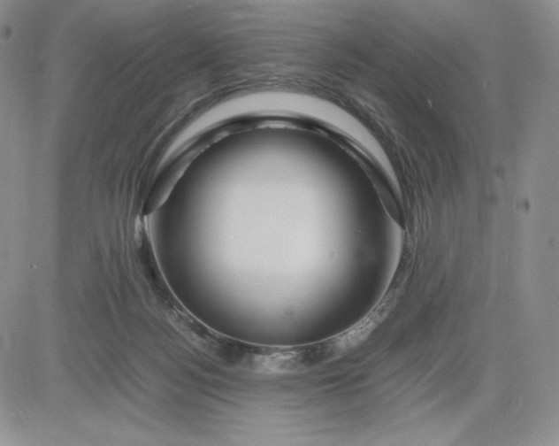 X0000083660172200702261151