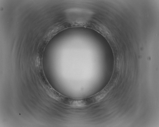 X0000083660173200702261151