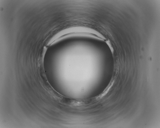 X0000083660174200702261151