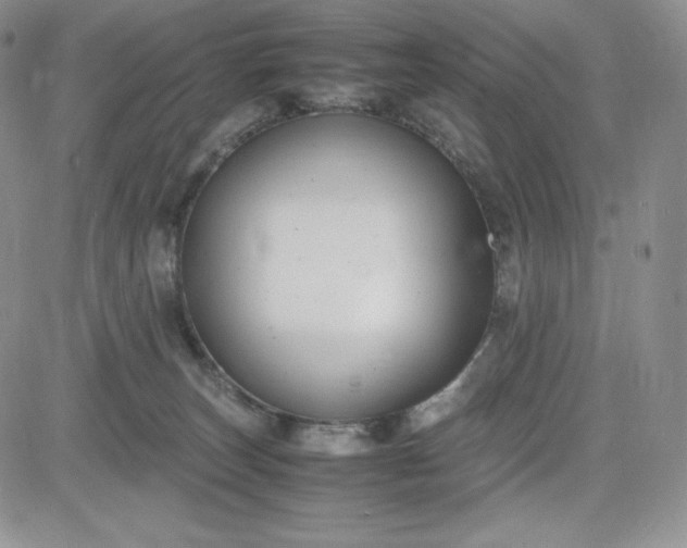 X0000083660179200702261151