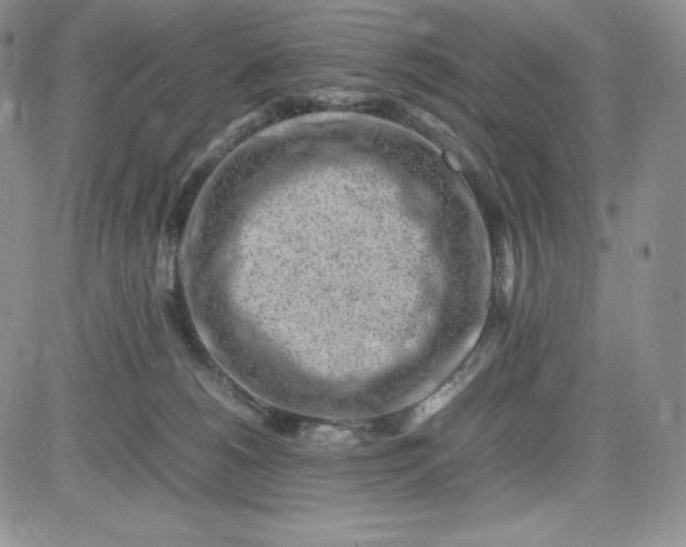 X0000083660180200702261151