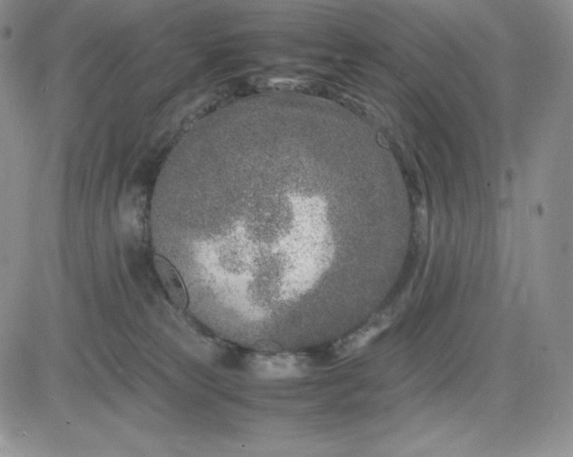 X0000083660181200702261151