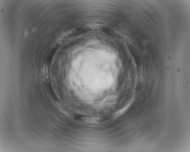 X0000083660182200702261151