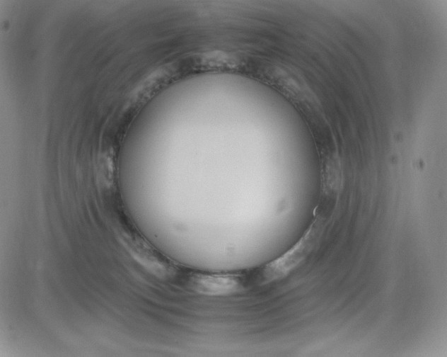 X0000083660183200702261151