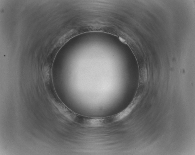 X0000083660184200702261151