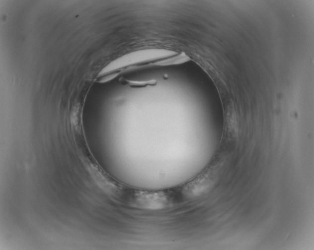 X0000083660185200702261151