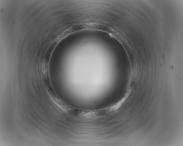 X0000083660186200702261151