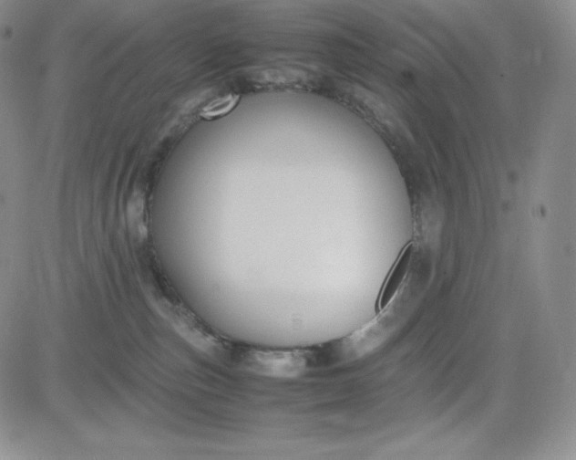 X0000083660187200702261151