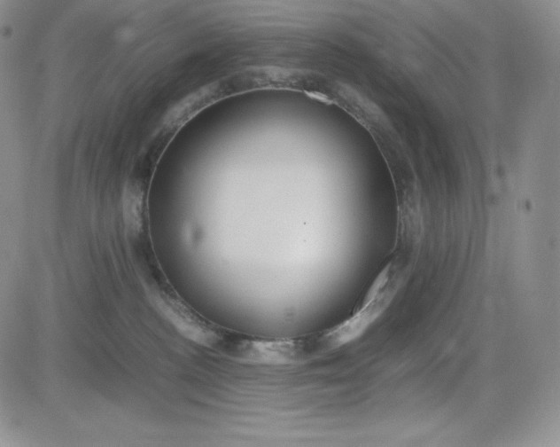 X0000083660188200702261151