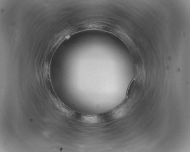 X0000083660189200702261151