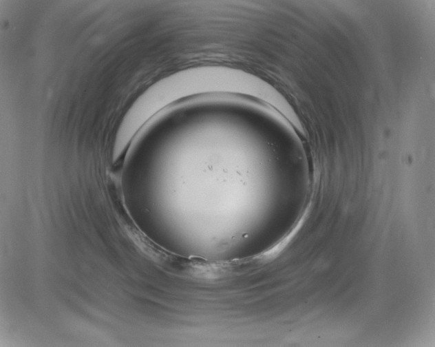 X0000083660190200702261151