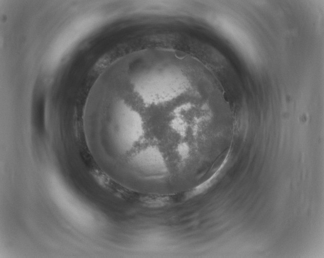 X0000083660191200702261151