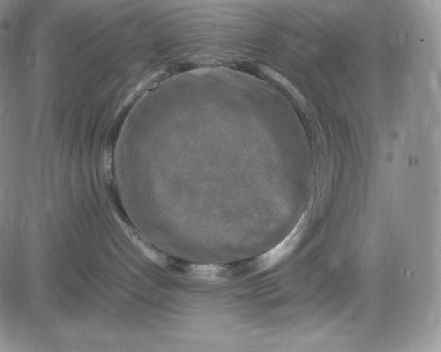 X0000083660192200702261151