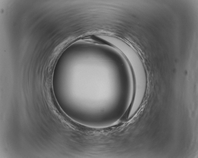 X0000083660193200702261150