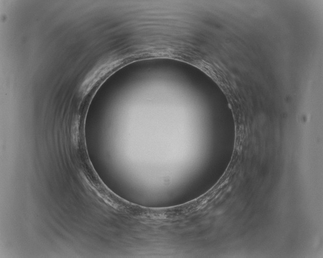 X0000083660194200702261150