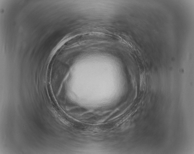 X0000083660195200702261150