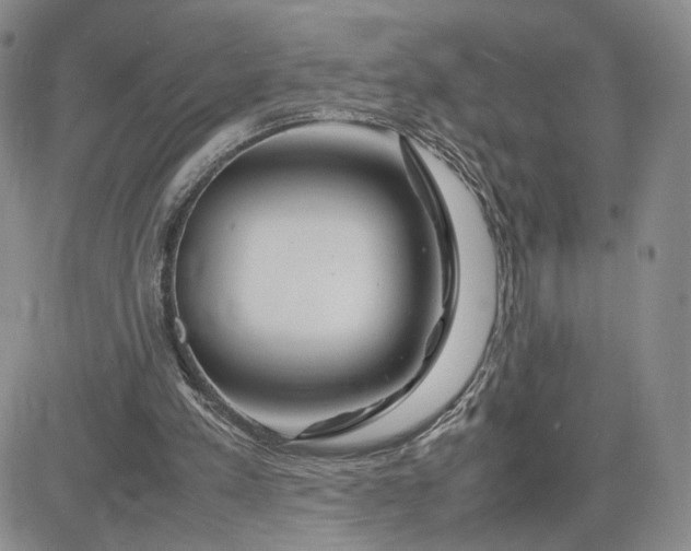 X0000083660197200702261150