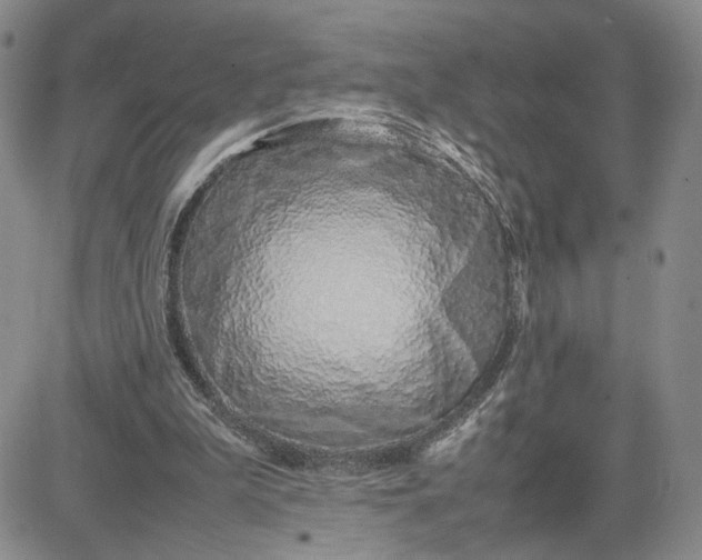 X0000083660199200702261150