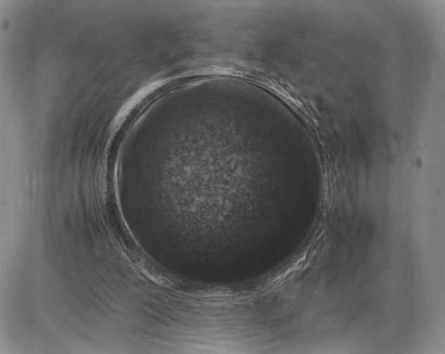 X0000083660200200702261150