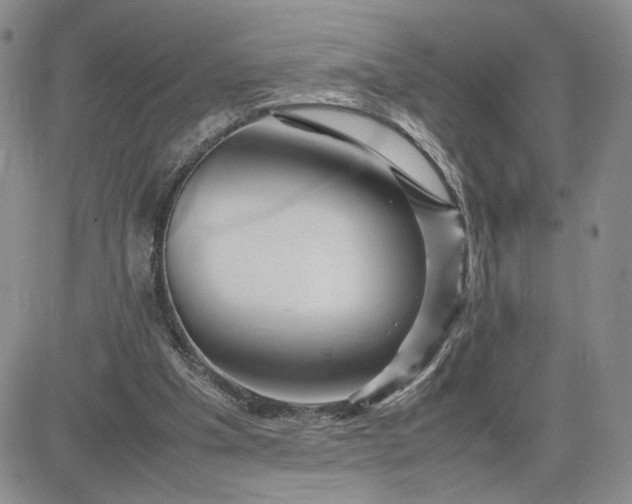 X0000083660201200702261150