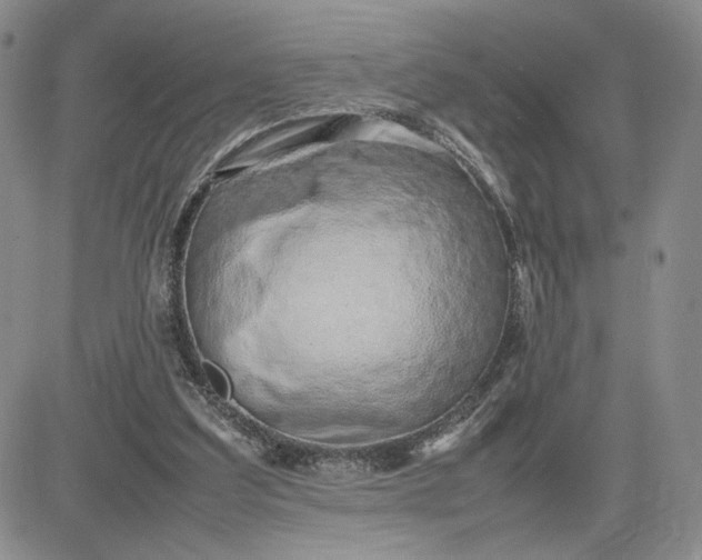 X0000083660203200702261150