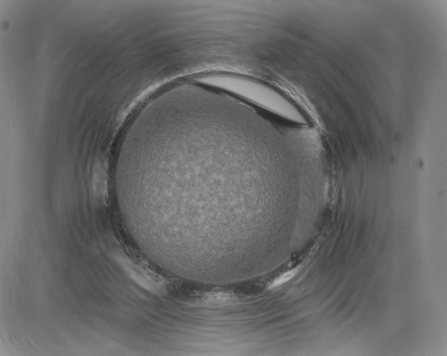 X0000083660204200702261150