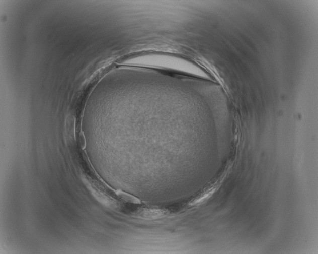 X0000083660205200702261150