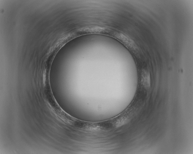 X0000083660206200702261150