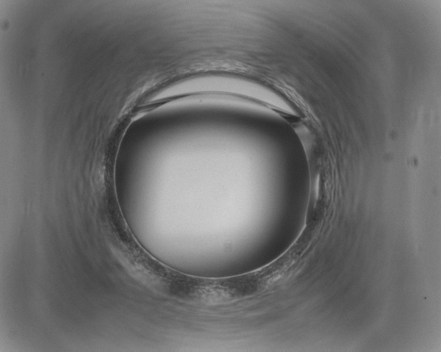 X0000083660207200702261150