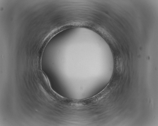 X0000083660208200702261150