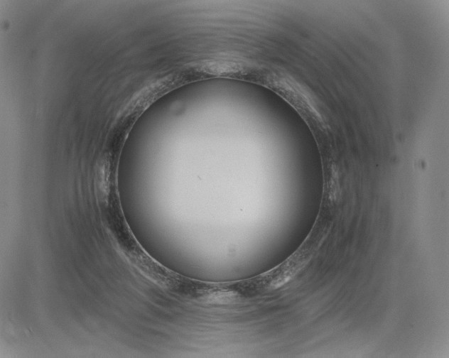 X0000083660210200702261150