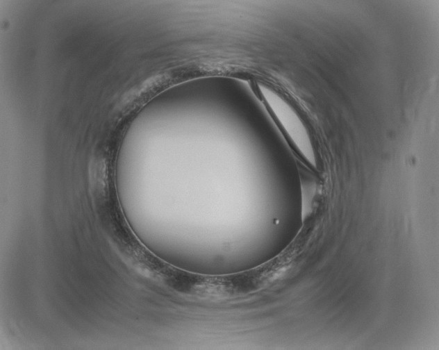 X0000083660211200702261150