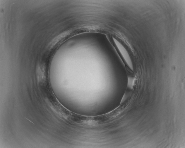 X0000083660212200702261150